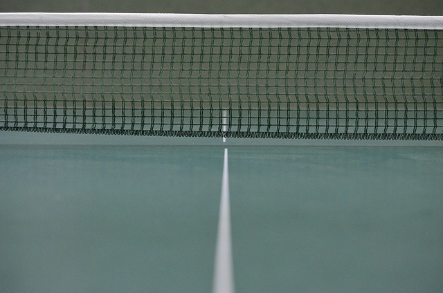 Rezervační systémy se mohou hodit i pro stolní tenis pro veřejnost